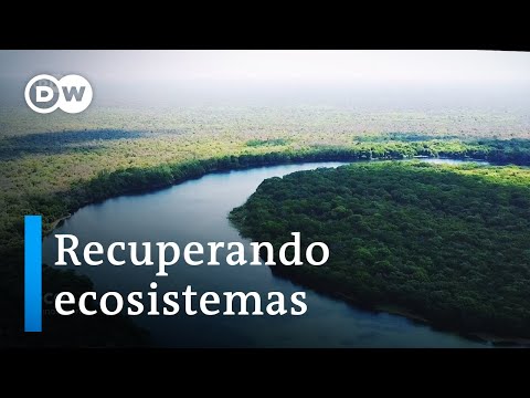 Eco Latinoamérica: el magacín del medioambiente