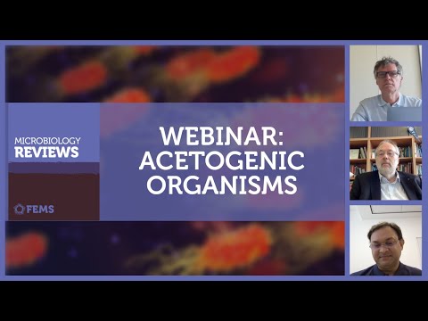 FEMS: Seminario web sobre organismos acetogénicos