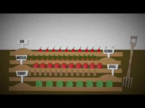 Concepto de inseguridad alimentaria