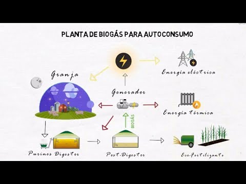 Generar biogás a partir de residuos orgánicos