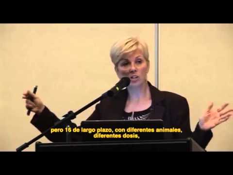 Seguridad de los edulcorantes no calóricos