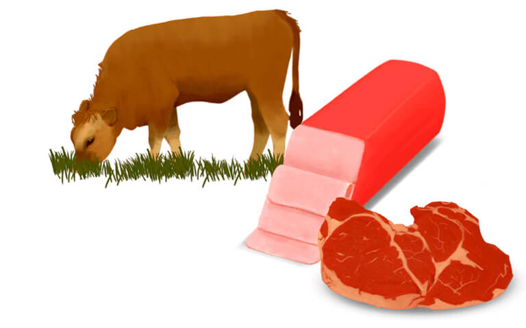 Cadena de producción de la carne