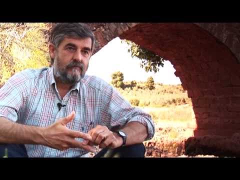 El suelo en la agricultura ecológica