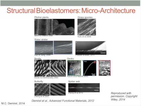 Seminario web: Materiales bioinspirados. Uso de genómica para el diseño de materiales reciclables