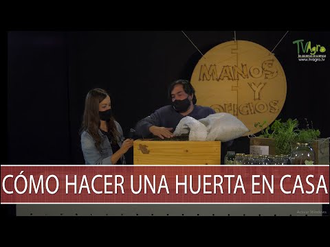 Como hacer una huerta en casa - TvAgro por Juan Gonzalo Angel Restrepo