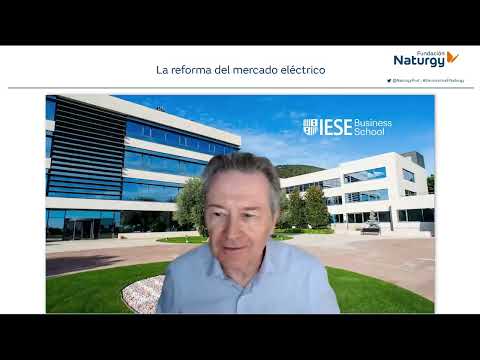 Webinar: La reforma del mercado eléctrico con María Fernández y Luis Atienza