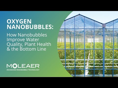 Agricultura de Moleaer: Cómo las nanoburbujas mejoran la calidad del agua, la salud de las plantas