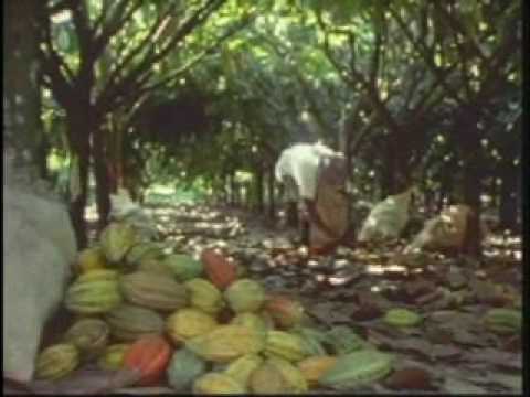 Producción de chocolate