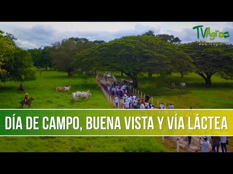 Como Mejorar la Produccion de Leche y Carne- TvAgro por Juan Gonzalo Angel