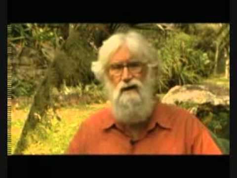 Ecología mental