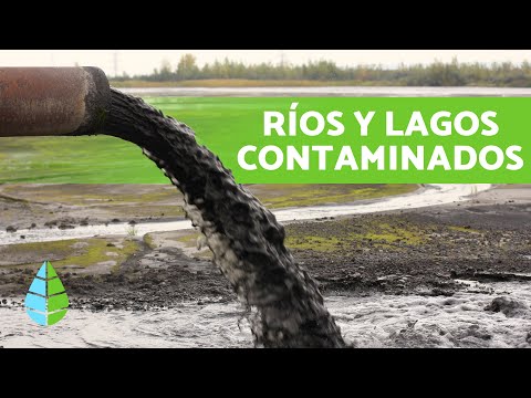 Causas y consecuencias de la contaminación de lagos y ríos