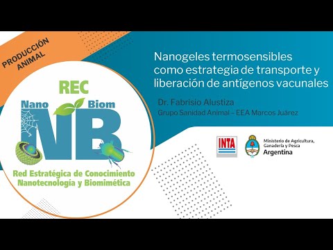 Nanogeles termosensibles como estrategia de transporte y liberación de antígenos vacunales