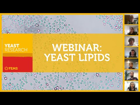 FEMS: Seminario web de investigación sobre lípidos de levadura