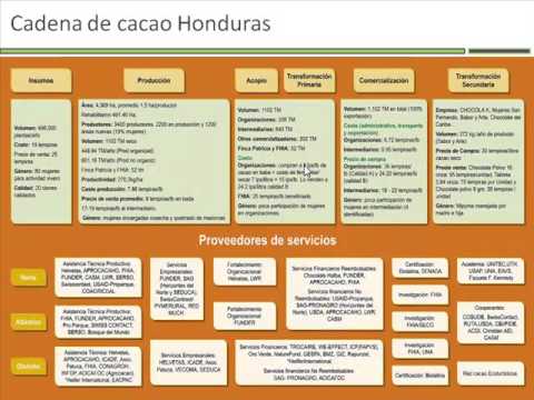 Cadenas de producción de cacao en Honduras, Guatemala y El Salvador, 2013